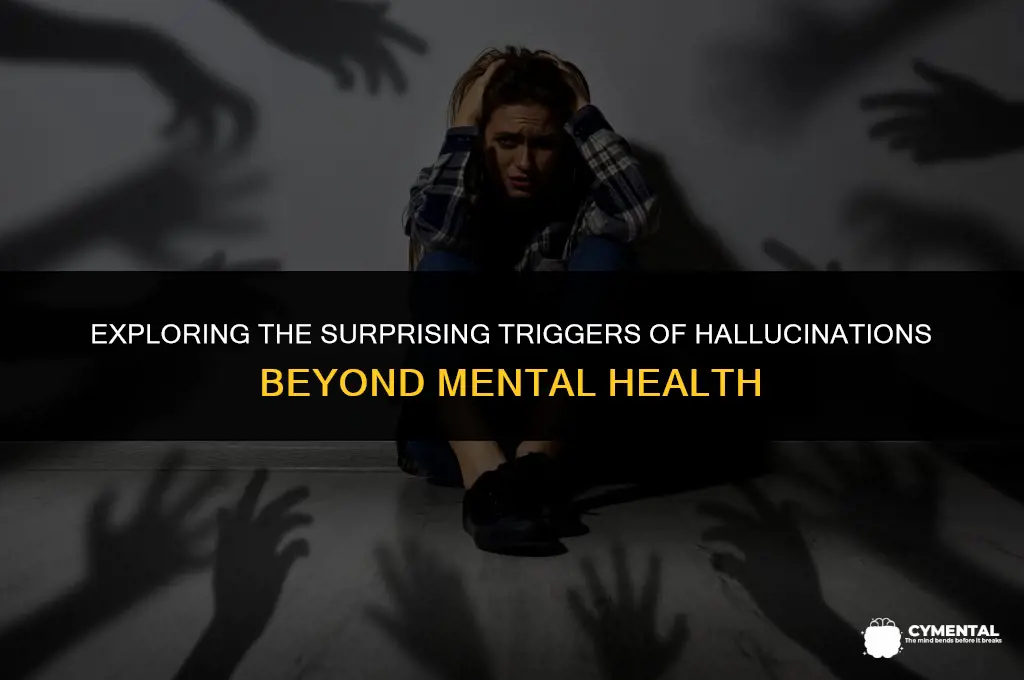 what can cause hallucinations besides mental health issues