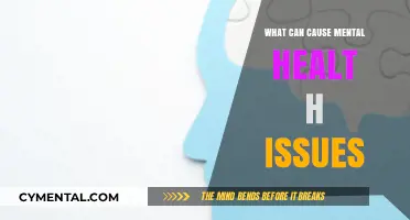 Unraveling the Complex Web: Factors That Can Cause Mental Health Issues
