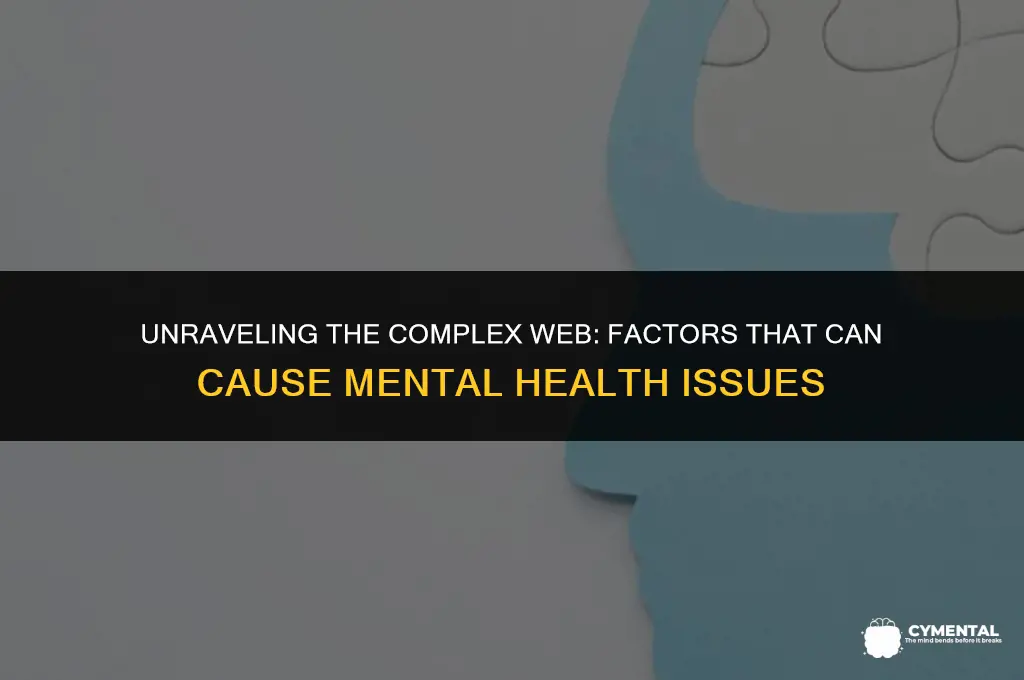 what can cause mental healt h issues