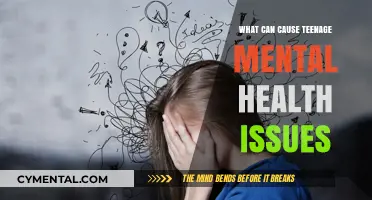 Unraveling the Complex Web: Factors Behind Teenage Mental Health Struggles