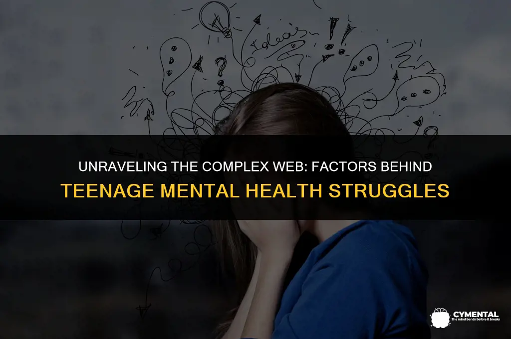 what can cause teenage mental health issues