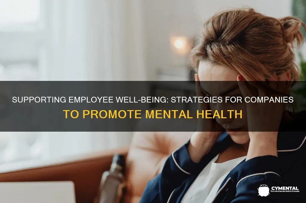 what can companies do to help employees mental health