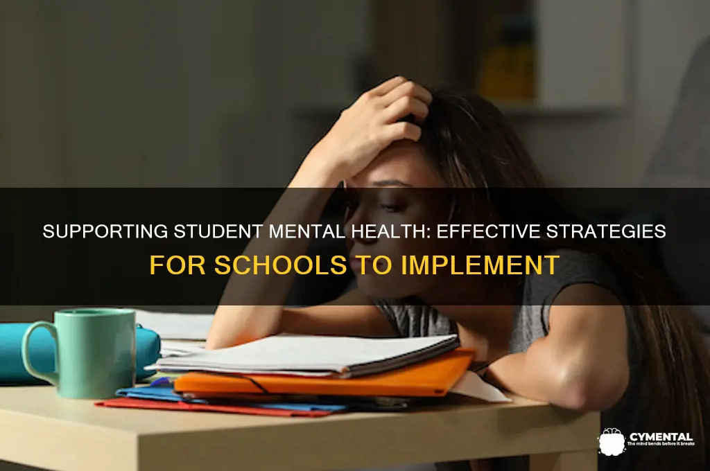 what can help mental health problems in schools