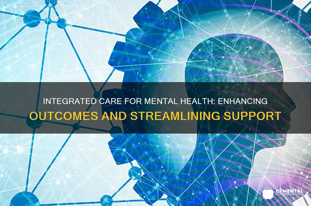 what can implementing integrated care for mental health help with