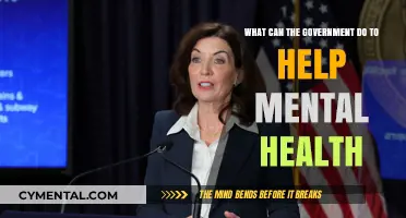 Government Strategies to Enhance Mental Health Support and Awareness