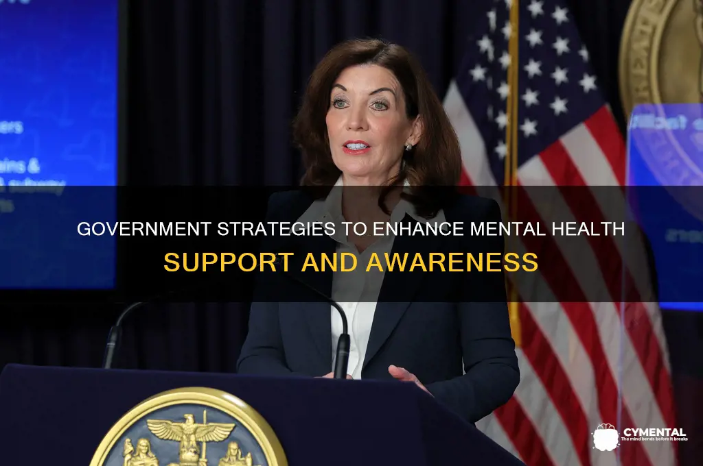 what can the government do to help mental health