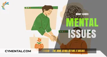 Unraveling the Complex Web: What Cases Mental Issues?