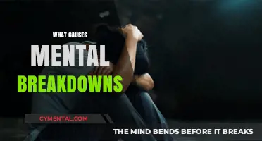 Unraveling the Triggers: A Deep Dive into Mental Breakdowns