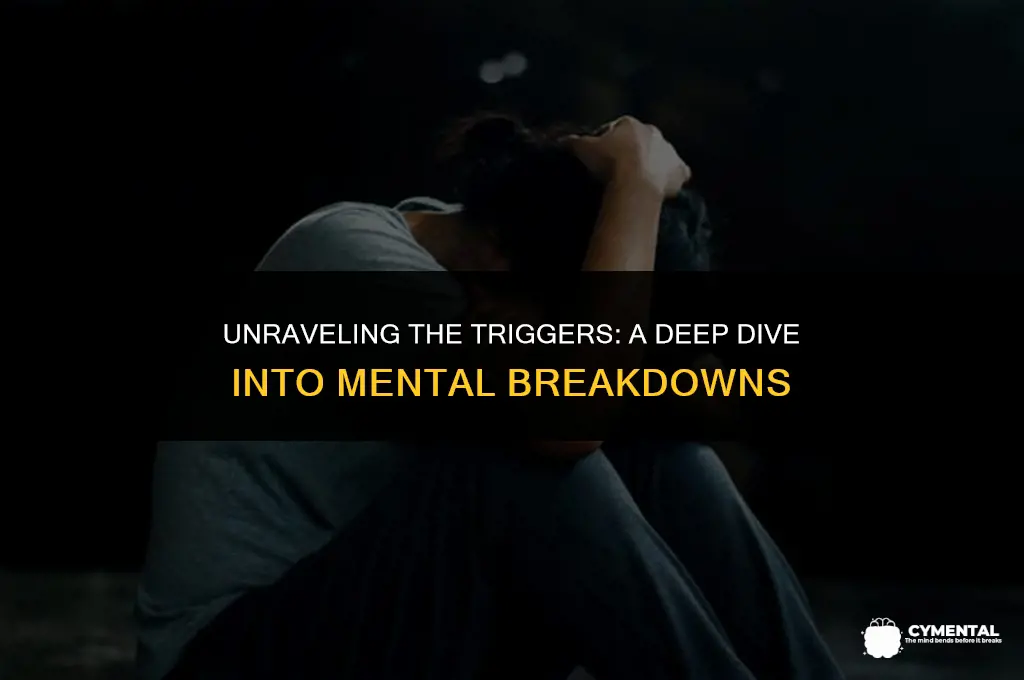 what causes mental breakdowns