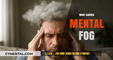 Unveiling the Mysteries: What Causes Mental Fog?