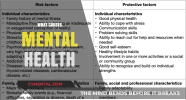 Unraveling the Complex Web: What Causes Mental Health Issues?