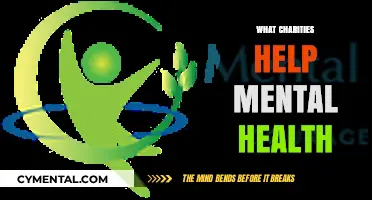 Supporting Mental Wellness: Top Charities Making a Difference in Mental Health