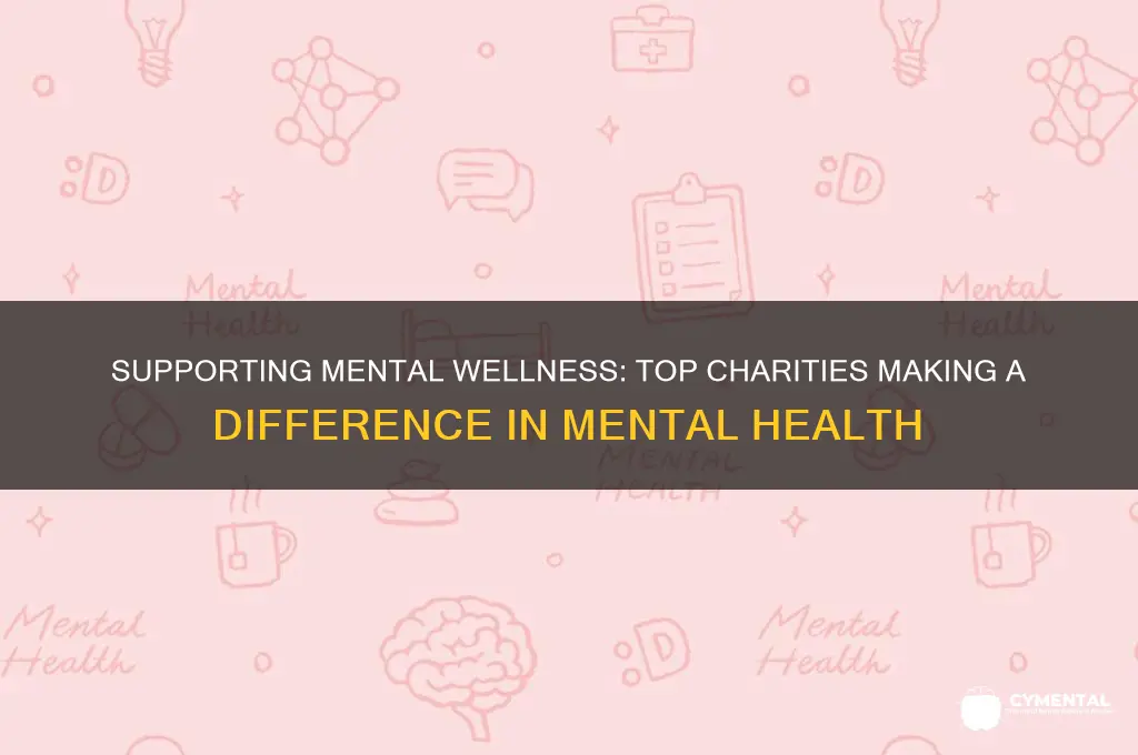 what charities help mental health