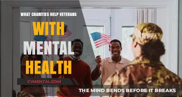 Supporting Veterans' Mental Health: Top Charities Making a Difference