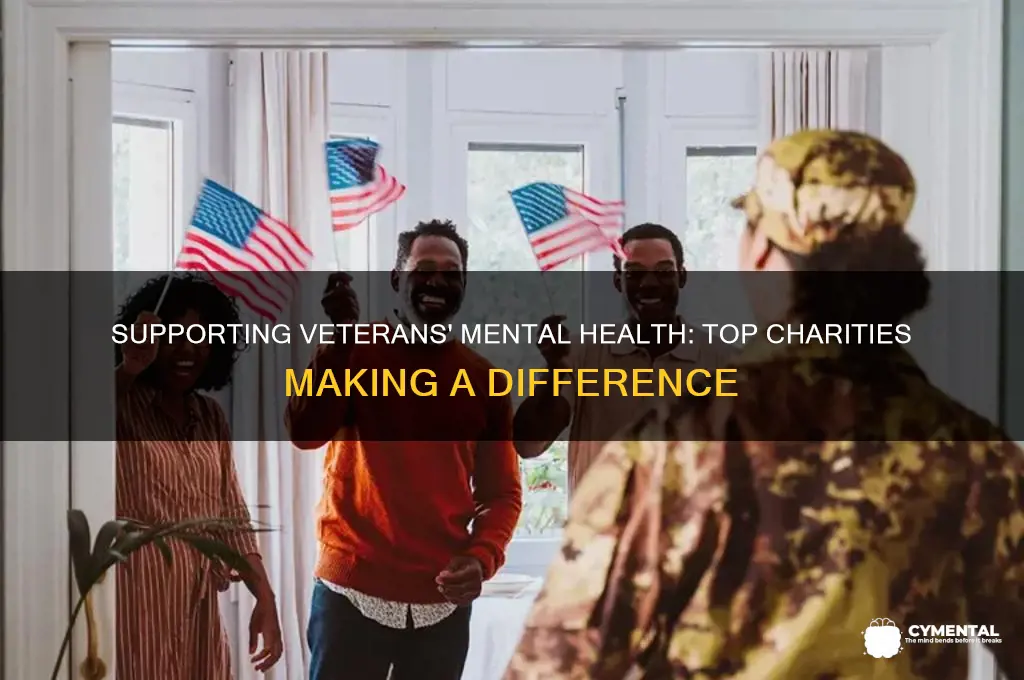 what charities help veterans with mental health