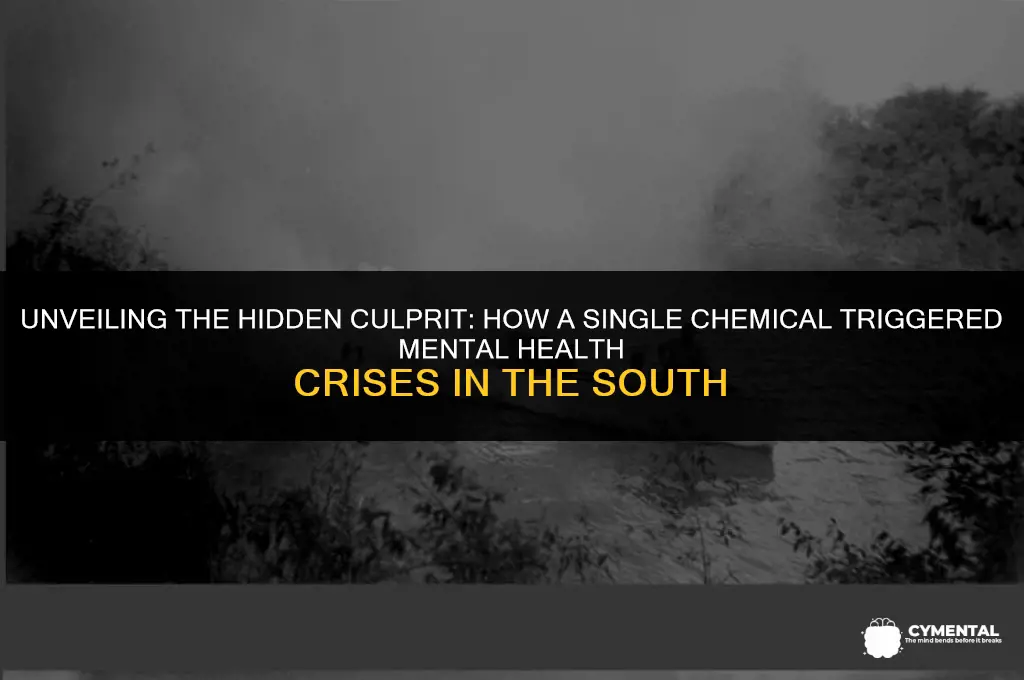 what chemical caused mental issues in the south