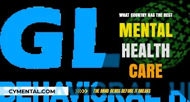 Exploring Global Mental Health Care: Which Country Leads the Way?