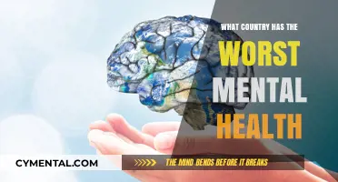 Global Mental Health Crisis: Which Country Faces the Greatest Challenges?