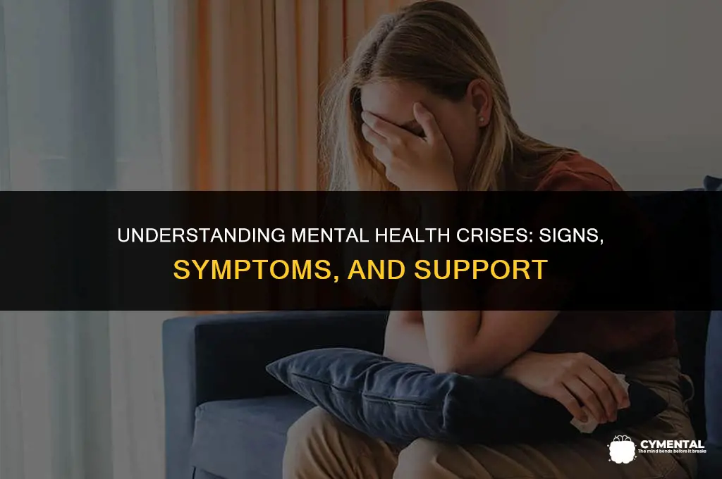 what counts as a mental health crisis