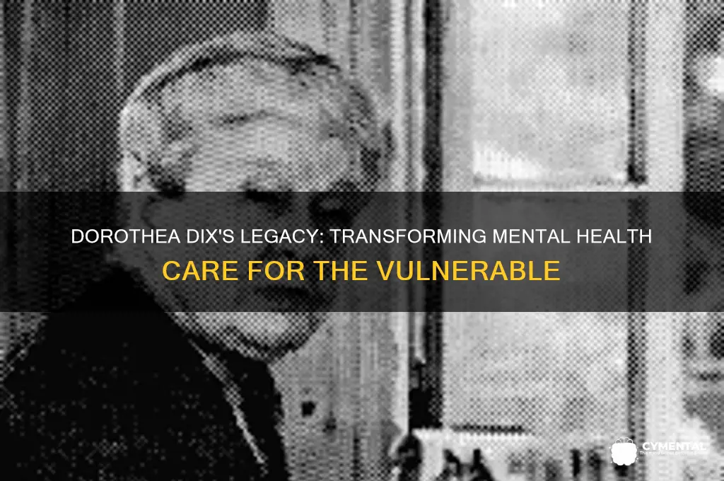 what did dorothea dix do to help the mentally ill