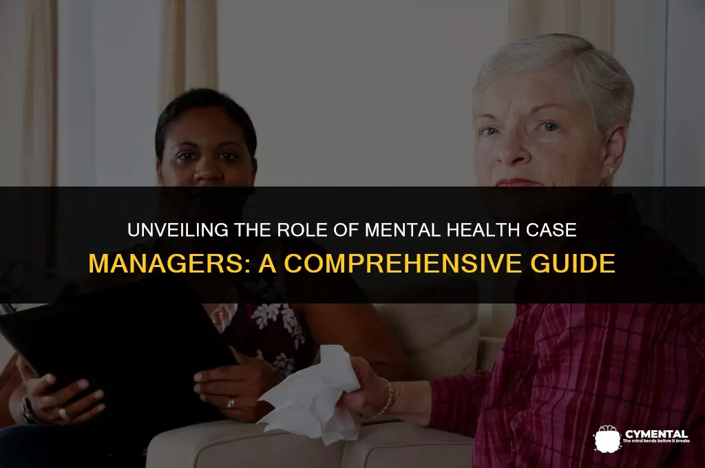 what do mental health case managers do