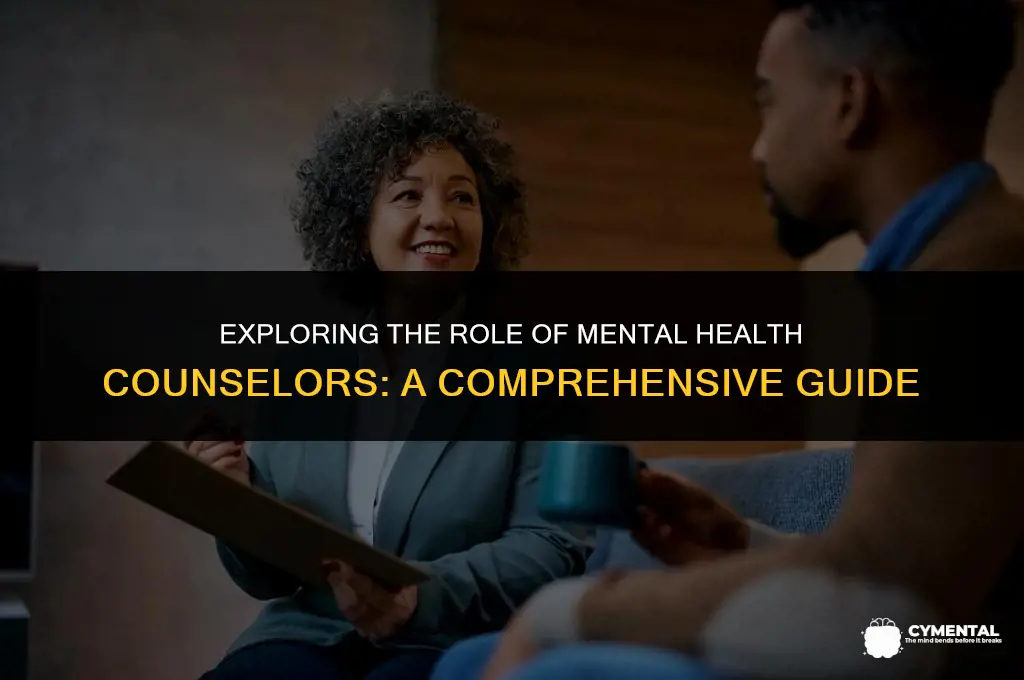 what do mental health counselors do
