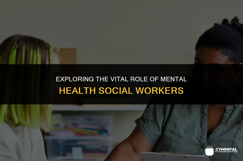 what do mental health social workers do