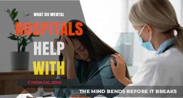 Understanding Mental Hospitals: Treatment, Support, and Recovery Explained