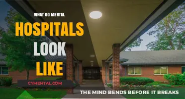 Exploring the Myths and Realities of Psychiatric Facilities