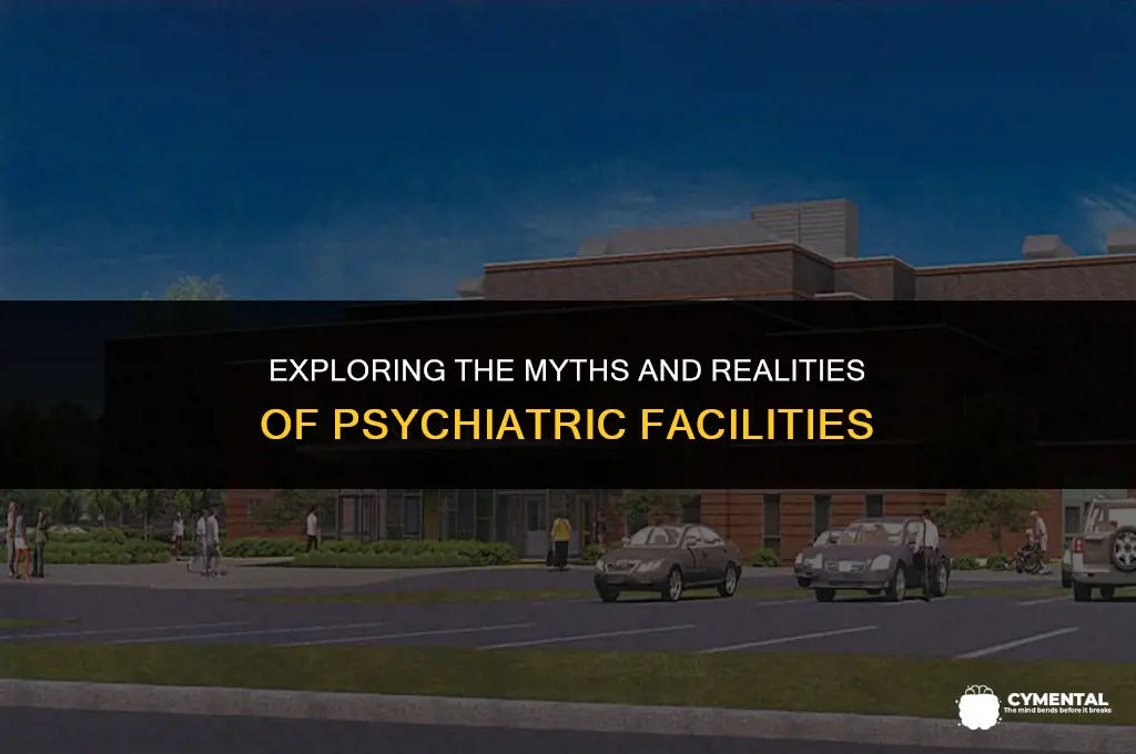 what do mental hospitals look like