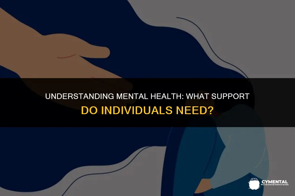 what do people with mental health issues need