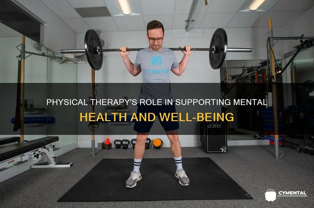 what do physical therapists help mental