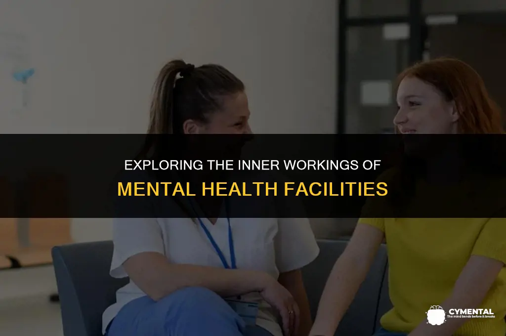 what do they do in a mental hospital