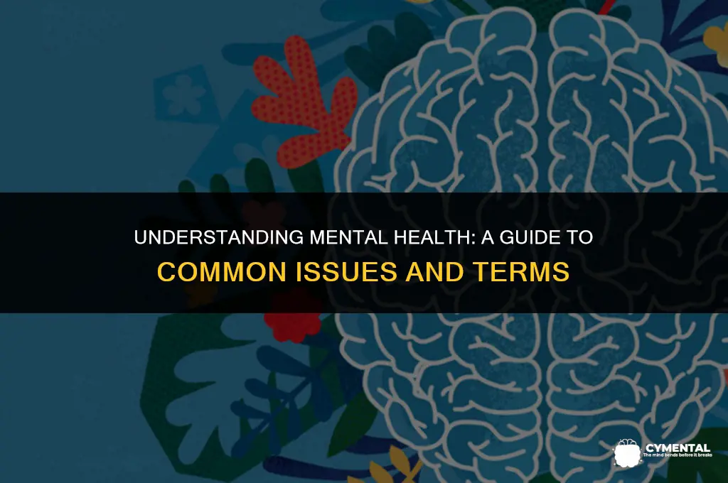 what do you call mental health issues