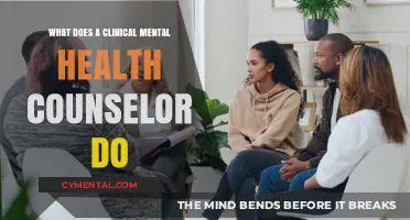 Exploring the Role of Clinical Mental Health Counselors: A Comprehensive Guide