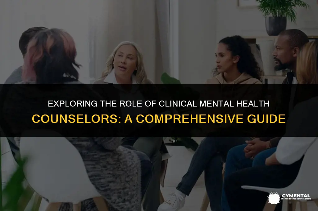 what does a clinical mental health counselor do