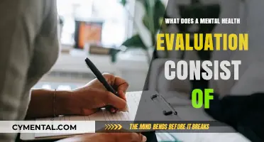 Unveiling the Components of a Comprehensive Mental Health Evaluation