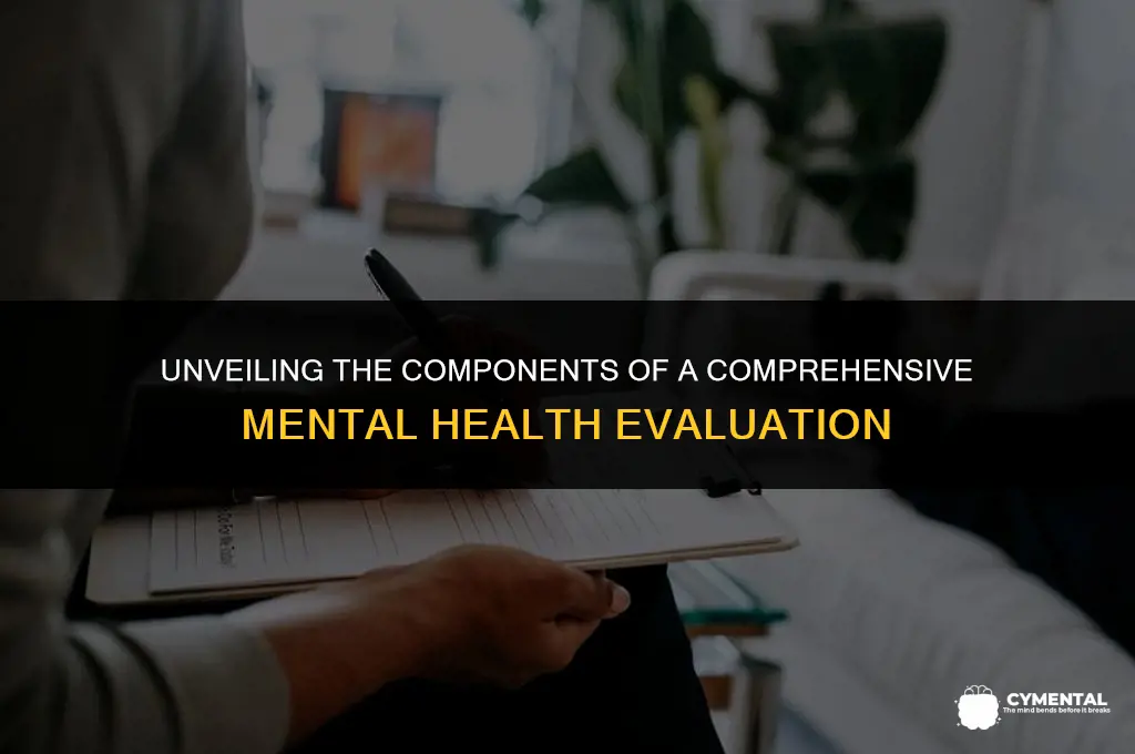 what does a mental health evaluation consist of