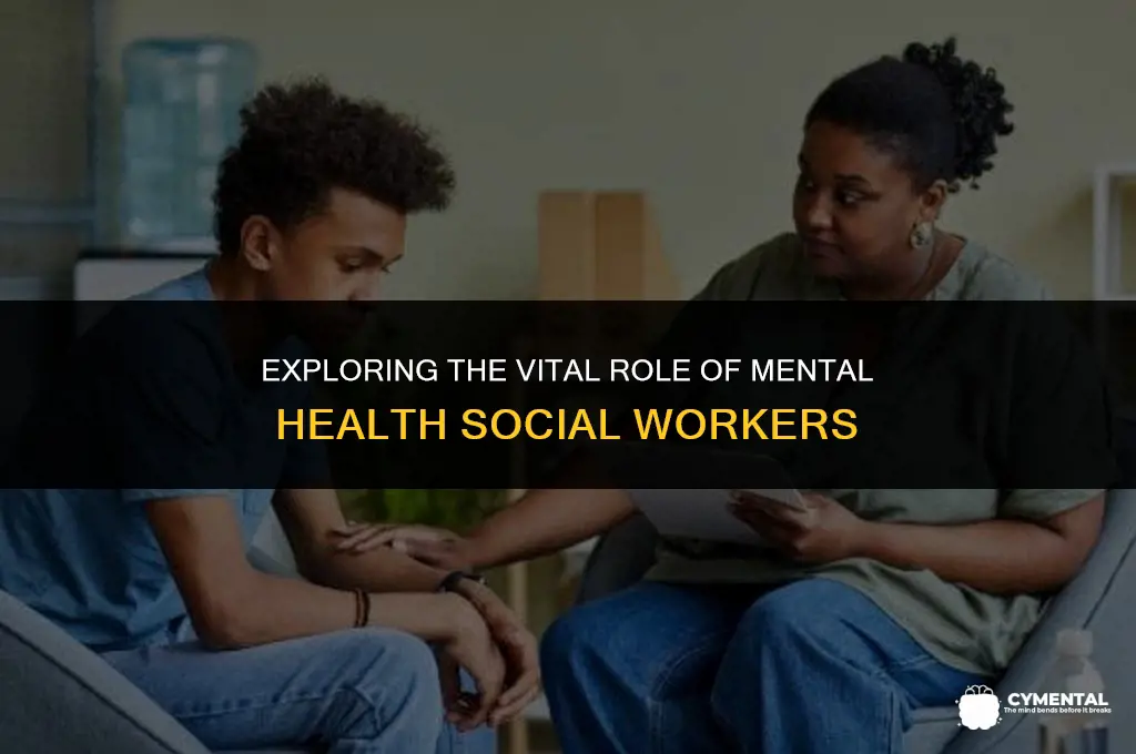 what does a mental health social worker do