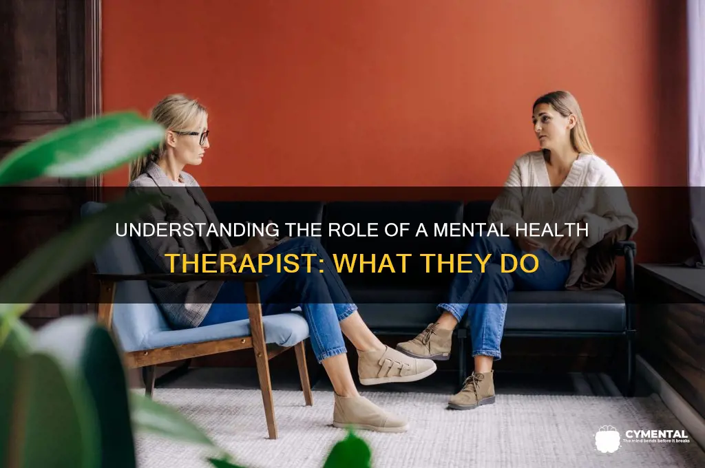 what does a mental help therapist do