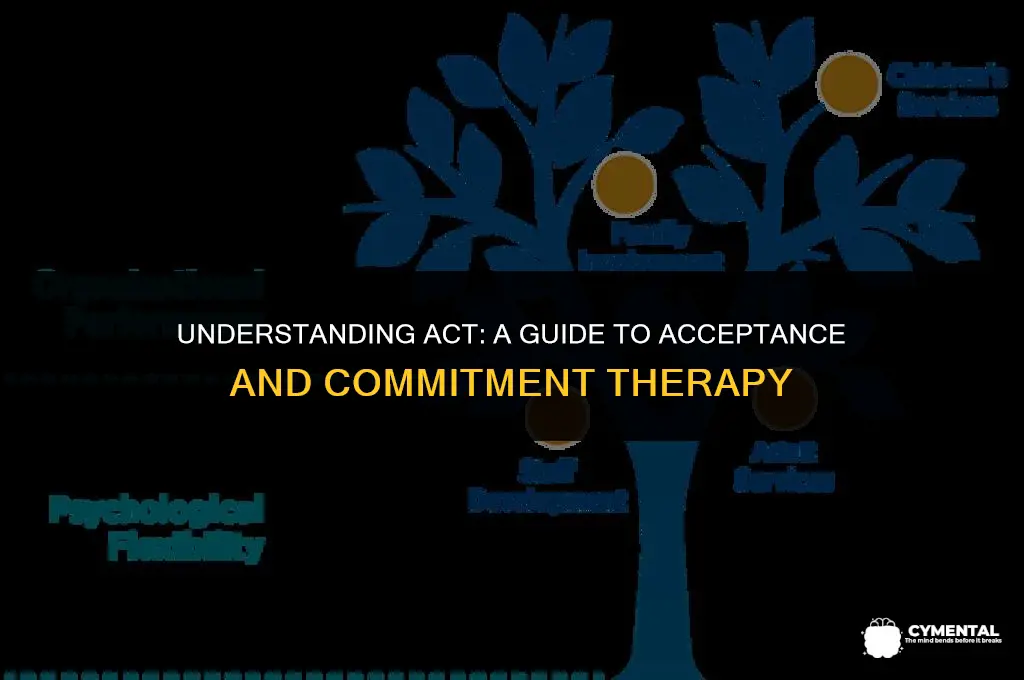 what does act stand for in mental health