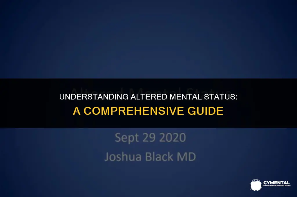 what does altered mental status mean