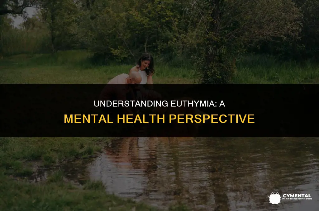 what does euthymic mean in mental health