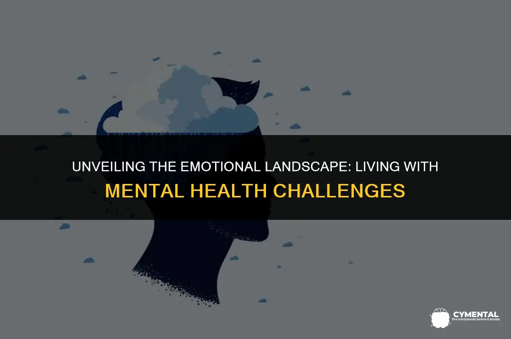 what does it feel like to have mental health issues