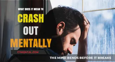 Understanding Mental Crashes: A Guide to Recognizing and Recovering