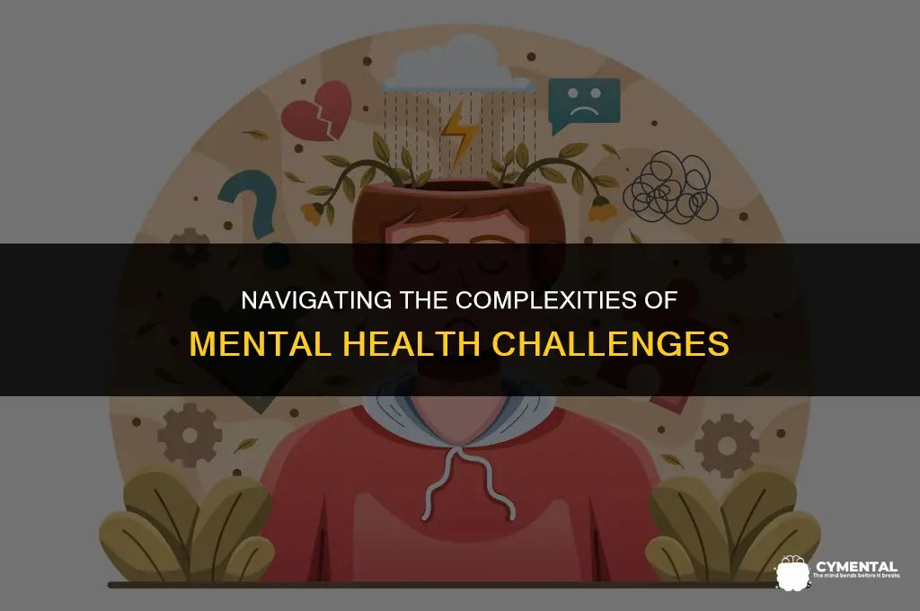 what does it mean to deal with a mental issue