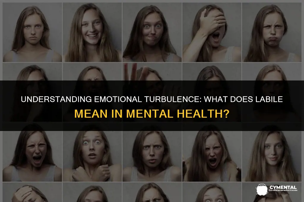 what does labile mean in mental health