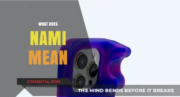 Unveiling the Meaning of Nami: A Journey Through Language and Culture