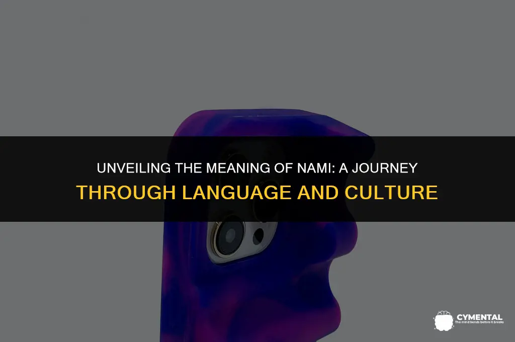 what does nami mean