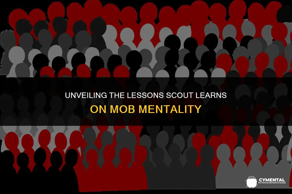 what does scout learn about mob mentality